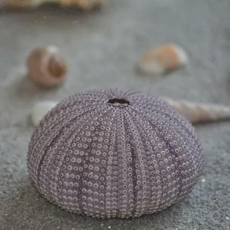 Nadoveza Apartment *