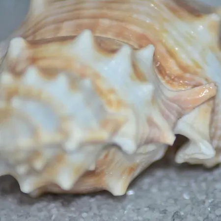 Nadoveza Apartment *