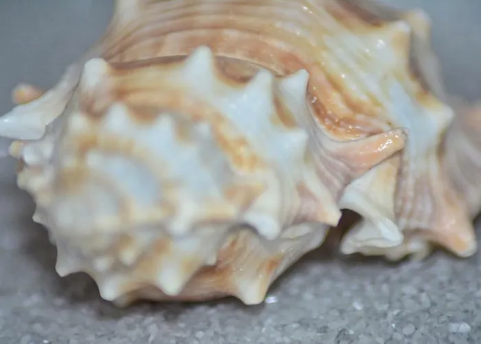 Nadoveza Apartment *