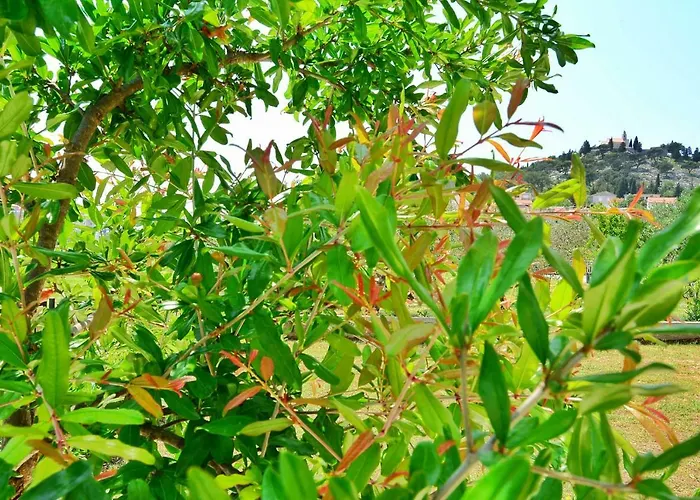 Nadoveza Appartement